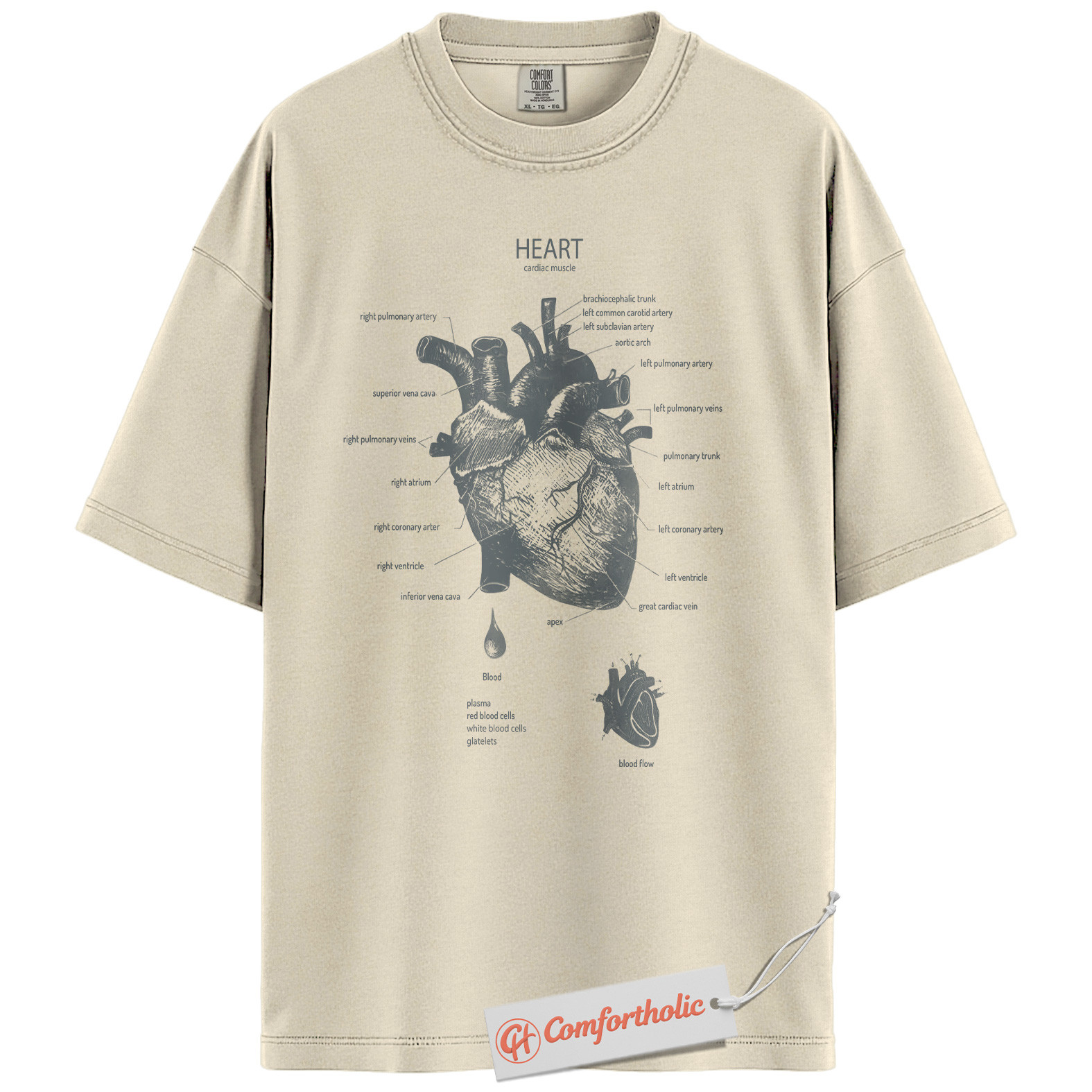 Anatomical Heart Shirt, Human Heart Anatomy T-Shirt, Cardiology Medical Graphic Tee, Biology Educational Comfort Colors Shirt