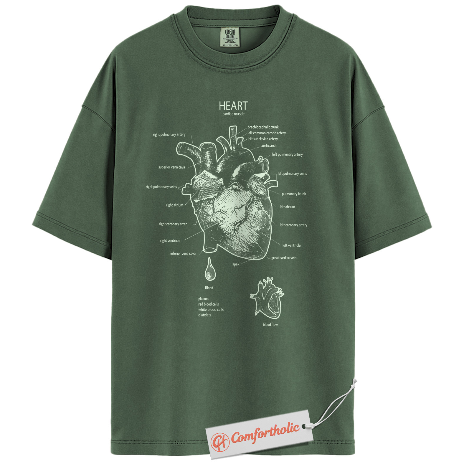 Anatomical Heart Shirt, Human Heart Anatomy T-Shirt, Cardiology Medical Graphic Tee, Biology Educational Comfort Colors Shirt - Image 5
