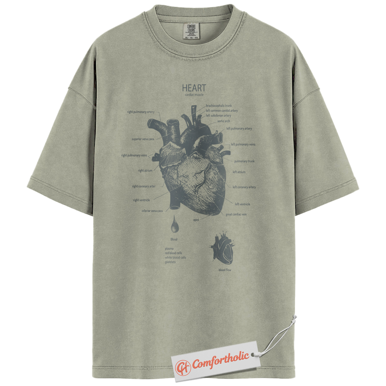 Anatomical Heart Shirt, Human Heart Anatomy T-Shirt, Cardiology Medical Graphic Tee, Biology Educational Comfort Colors Shirt - Image 6