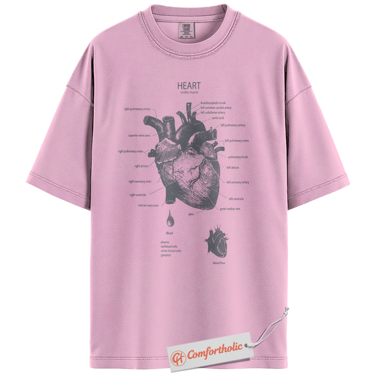 Anatomical Heart Shirt, Human Heart Anatomy T-Shirt, Cardiology Medical Graphic Tee, Biology Educational Comfort Colors Shirt - Image 8