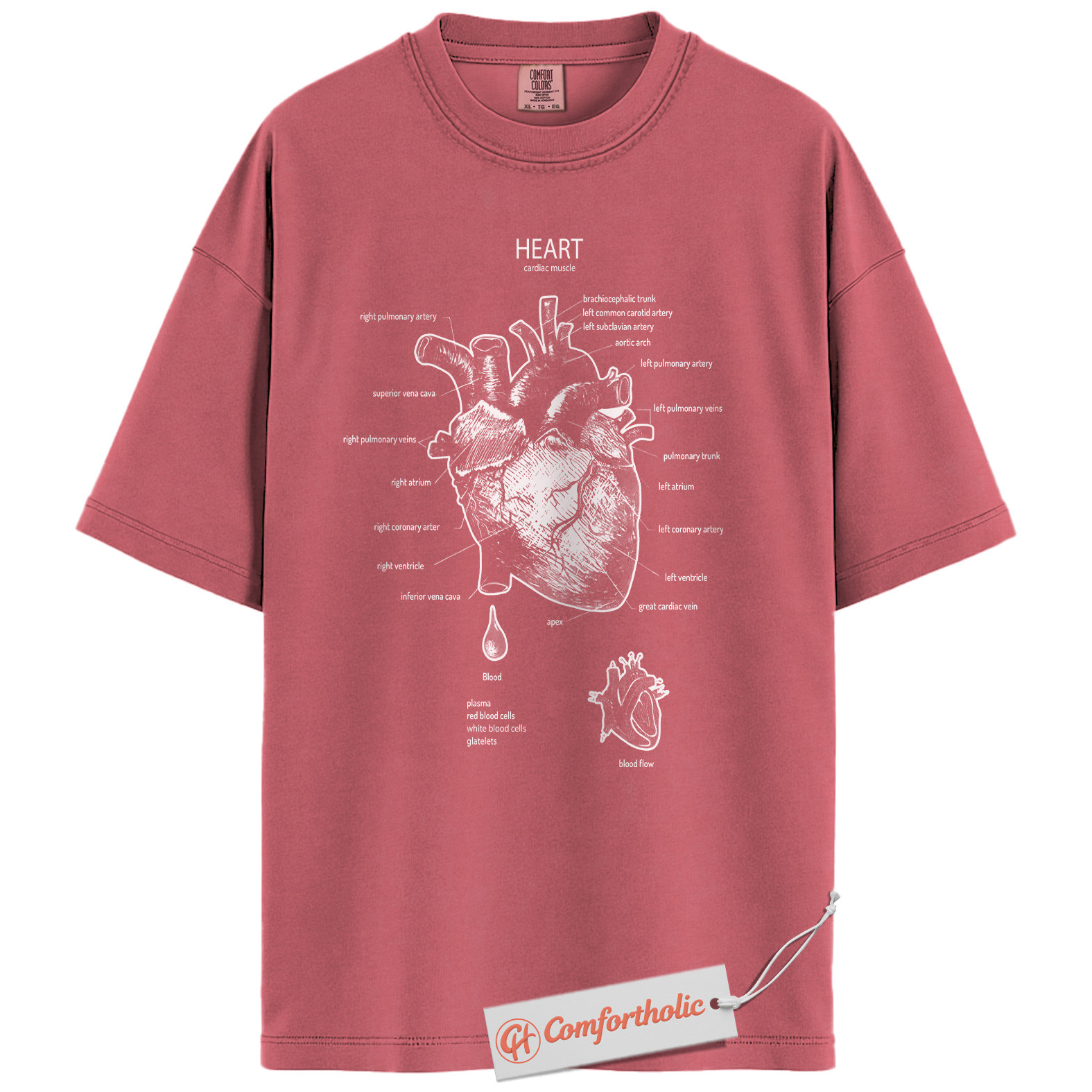 Anatomical Heart Shirt, Human Heart Anatomy T-Shirt, Cardiology Medical Graphic Tee, Biology Educational Comfort Colors Shirt - Image 9