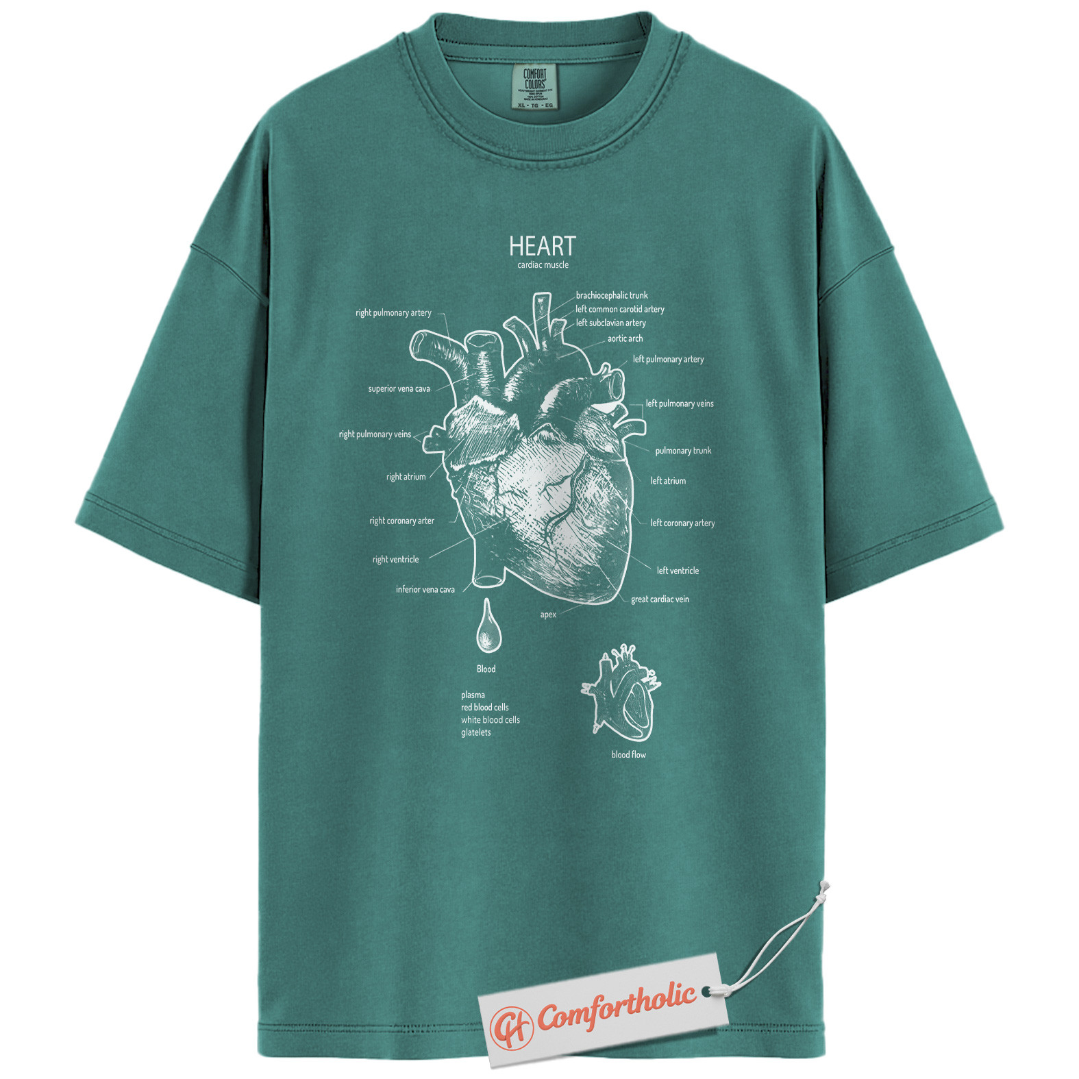 Anatomical Heart Shirt, Human Heart Anatomy T-Shirt, Cardiology Medical Graphic Tee, Biology Educational Comfort Colors Shirt - Image 13