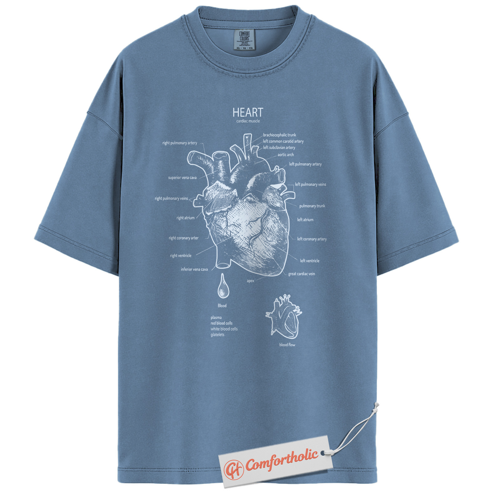 Anatomical Heart Shirt, Human Heart Anatomy T-Shirt, Cardiology Medical Graphic Tee, Biology Educational Comfort Colors Shirt - Image 17