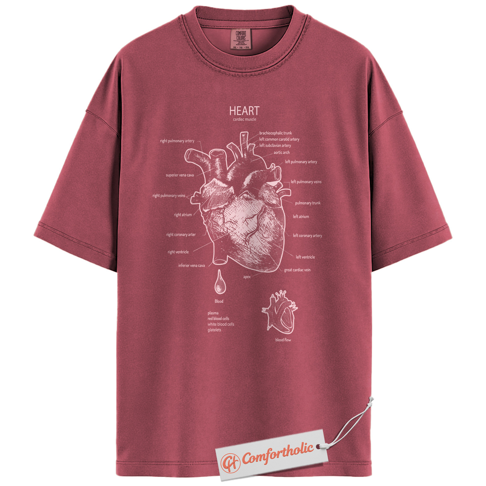 Anatomical Heart Shirt, Human Heart Anatomy T-Shirt, Cardiology Medical Graphic Tee, Biology Educational Comfort Colors Shirt - Image 18