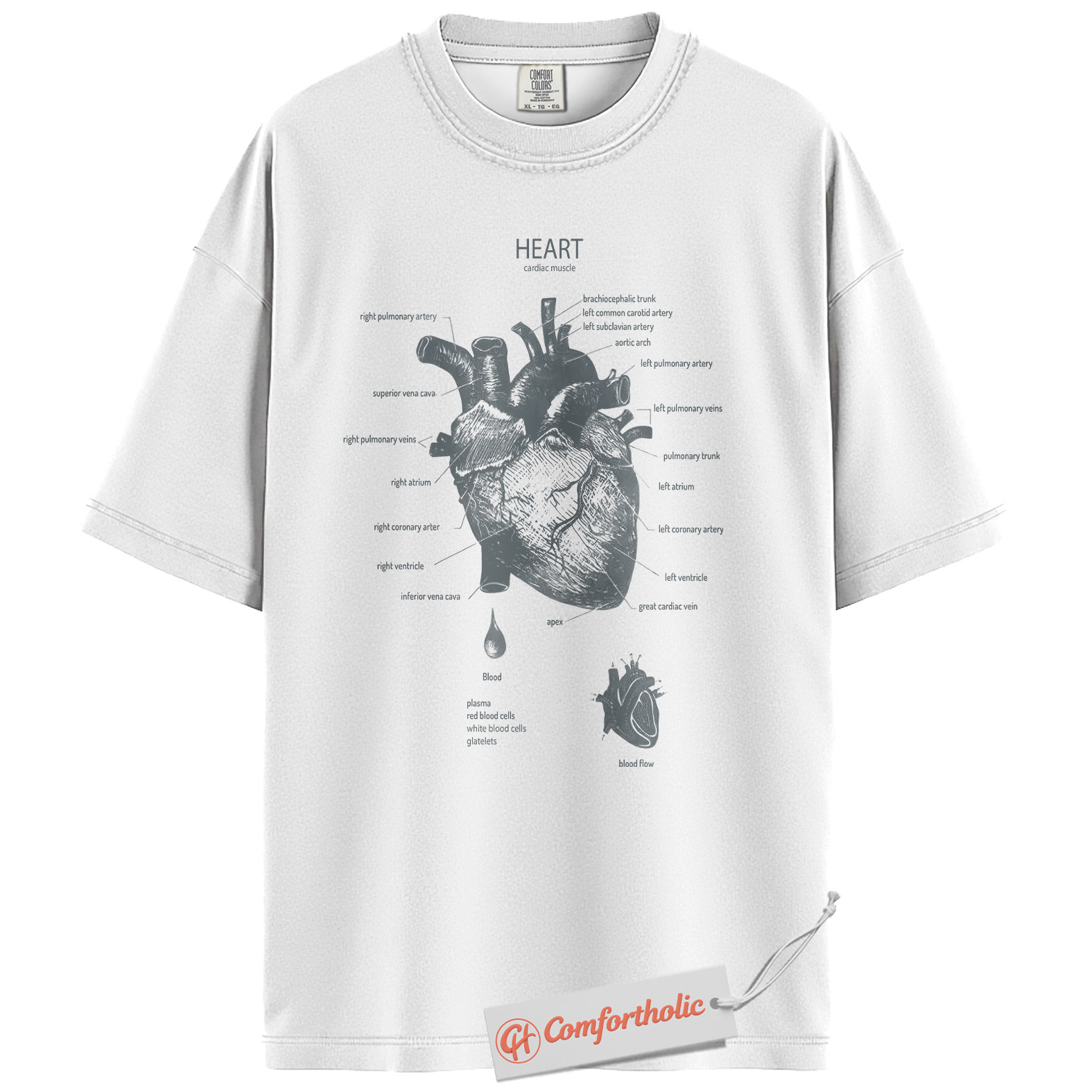 Anatomical Heart Shirt, Human Heart Anatomy T-Shirt, Cardiology Medical Graphic Tee, Biology Educational Comfort Colors Shirt - Image 2