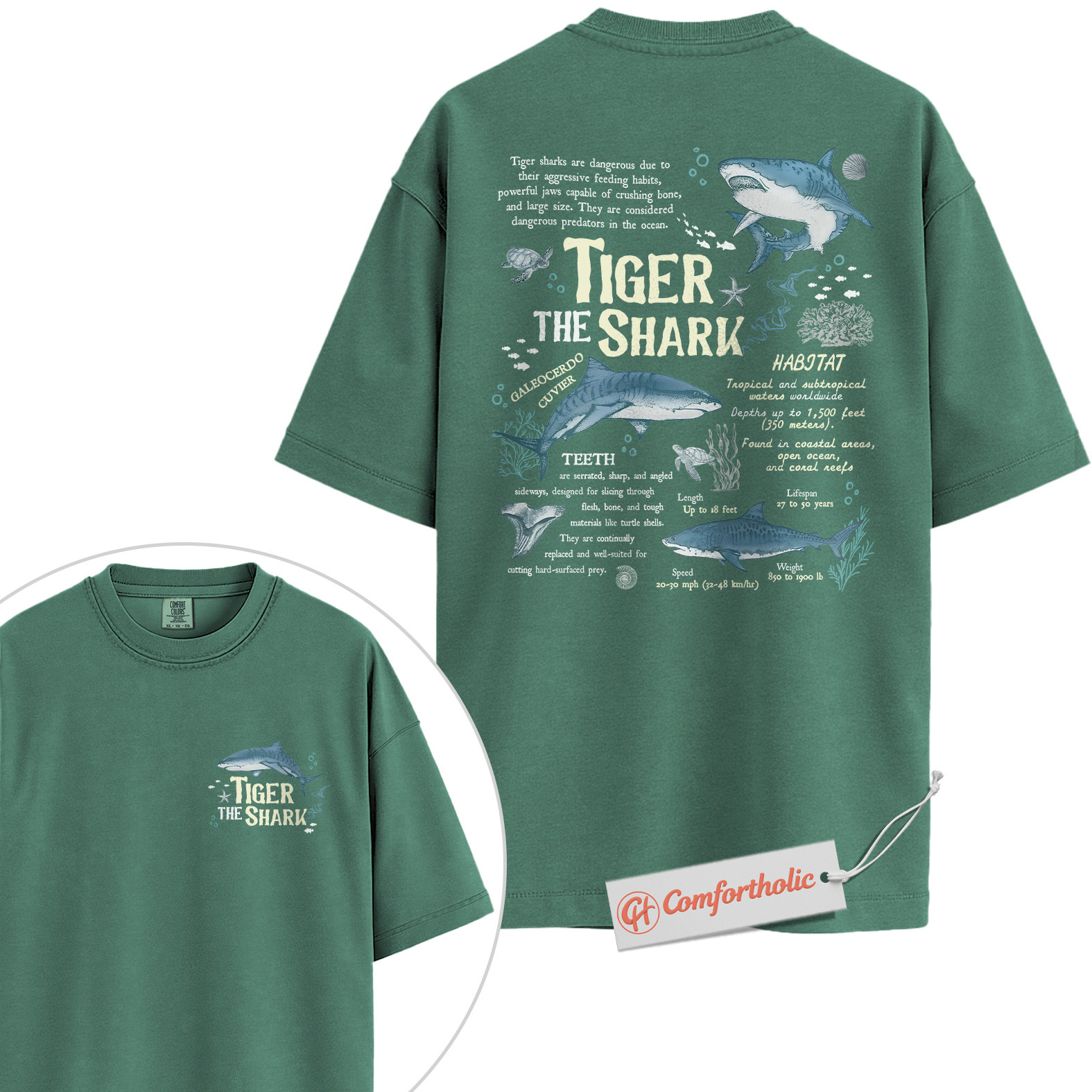 Tiger Shark Shirt, Educational Ocean Animal T-Shirt, Marine Biology Graphic Tee, Gift for Shark Lovers, Sea Life Diagram Comfort Colors Shirt 2-Sided - Image 11
