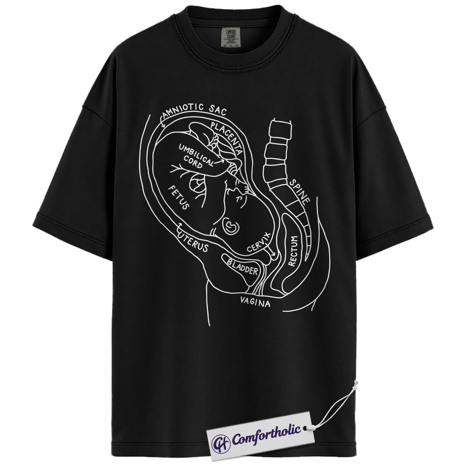 Pregnancy Anatomy Shirt, OB Nurse T-Shirt, Labor and Delivery Diagram Graphic Tee, Educational Medical Worker Gift, Comfort Colors Shirt - Image 3