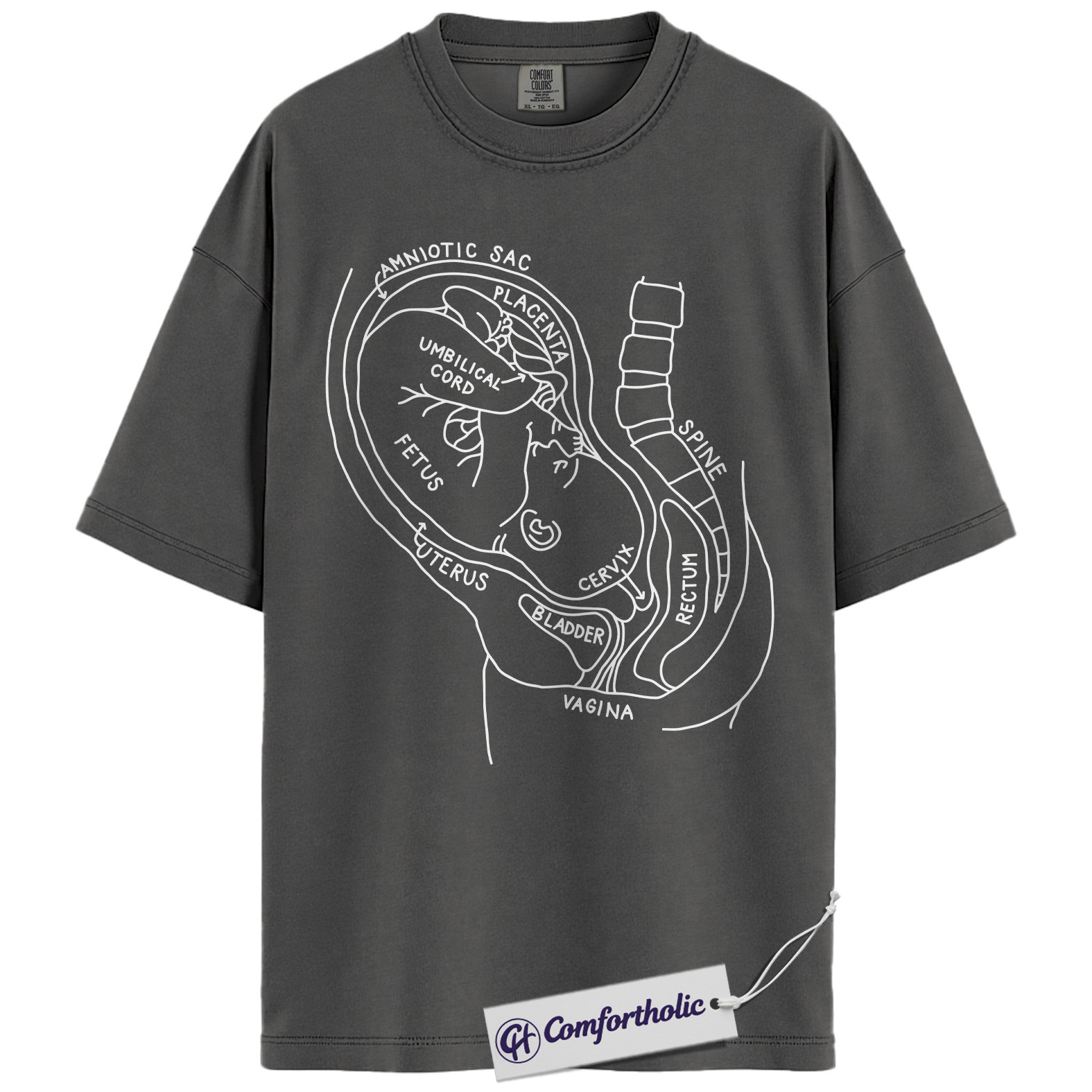 Pregnancy Anatomy Shirt, OB Nurse T-Shirt, Labor and Delivery Diagram Graphic Tee, Educational Medical Worker Gift, Comfort Colors Shirt - Image 4
