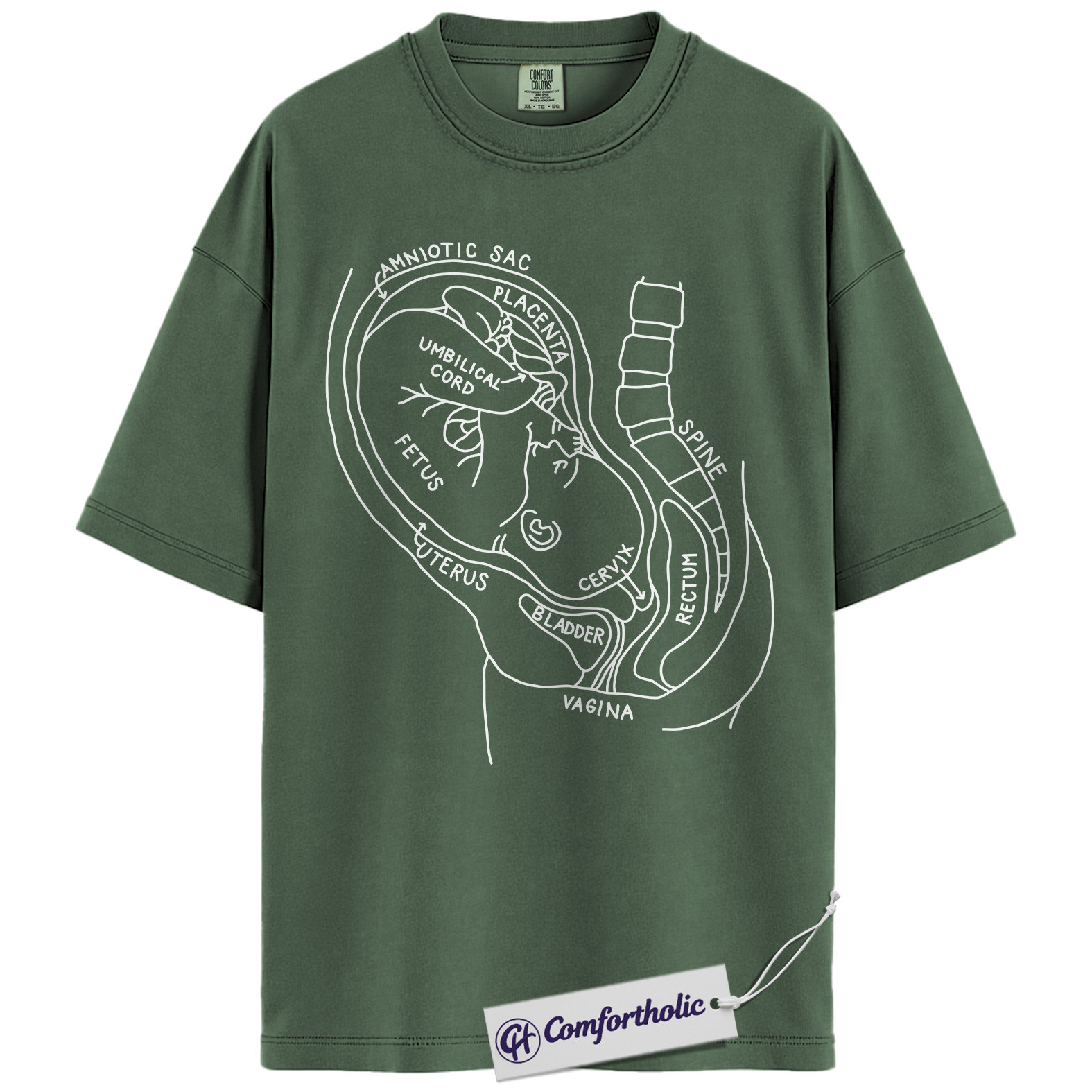 Pregnancy Anatomy Shirt, OB Nurse T-Shirt, Labor and Delivery Diagram Graphic Tee, Educational Medical Worker Gift, Comfort Colors Shirt - Image 5