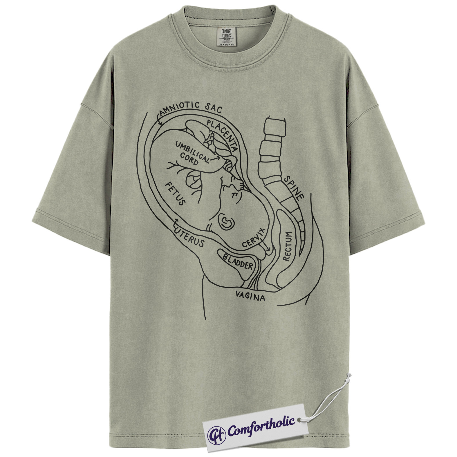 Pregnancy Anatomy Shirt, OB Nurse T-Shirt, Labor and Delivery Diagram Graphic Tee, Educational Medical Worker Gift, Comfort Colors Shirt - Image 6