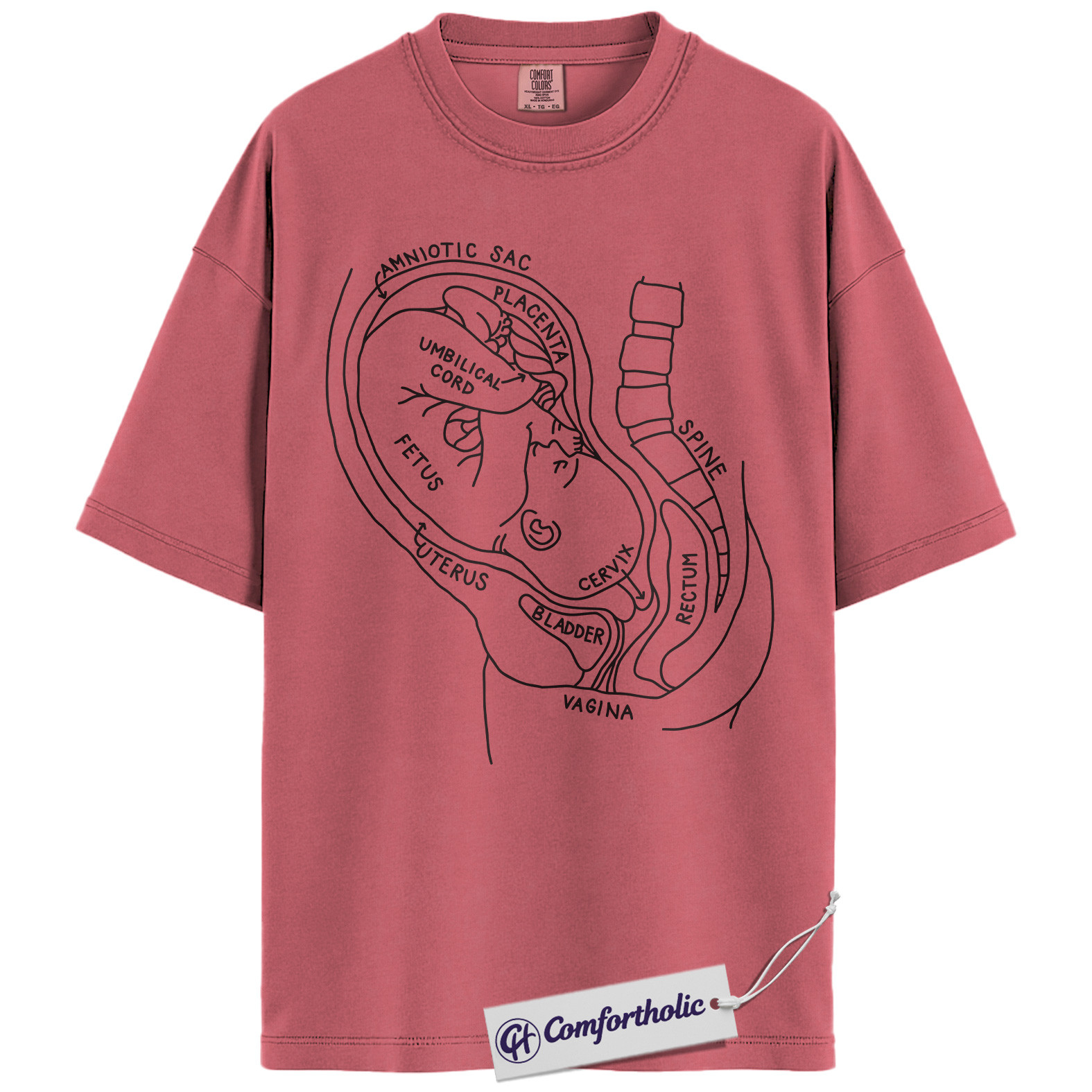 Pregnancy Anatomy Shirt, OB Nurse T-Shirt, Labor and Delivery Diagram Graphic Tee, Educational Medical Worker Gift, Comfort Colors Shirt - Image 9