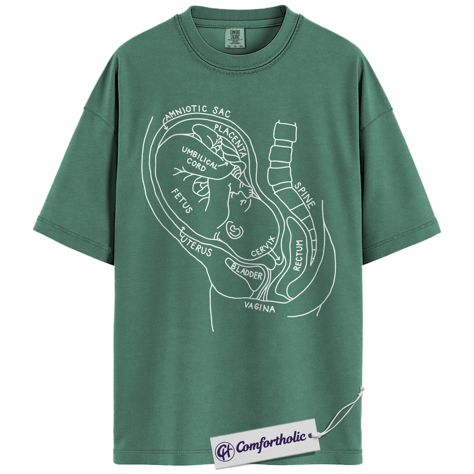 Pregnancy Anatomy Shirt, OB Nurse T-Shirt, Labor and Delivery Diagram Graphic Tee, Educational Medical Worker Gift, Comfort Colors Shirt - Image 10