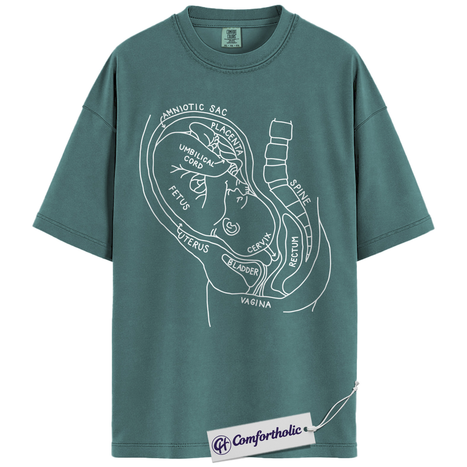 Pregnancy Anatomy Shirt, OB Nurse T-Shirt, Labor and Delivery Diagram Graphic Tee, Educational Medical Worker Gift, Comfort Colors Shirt - Image 11