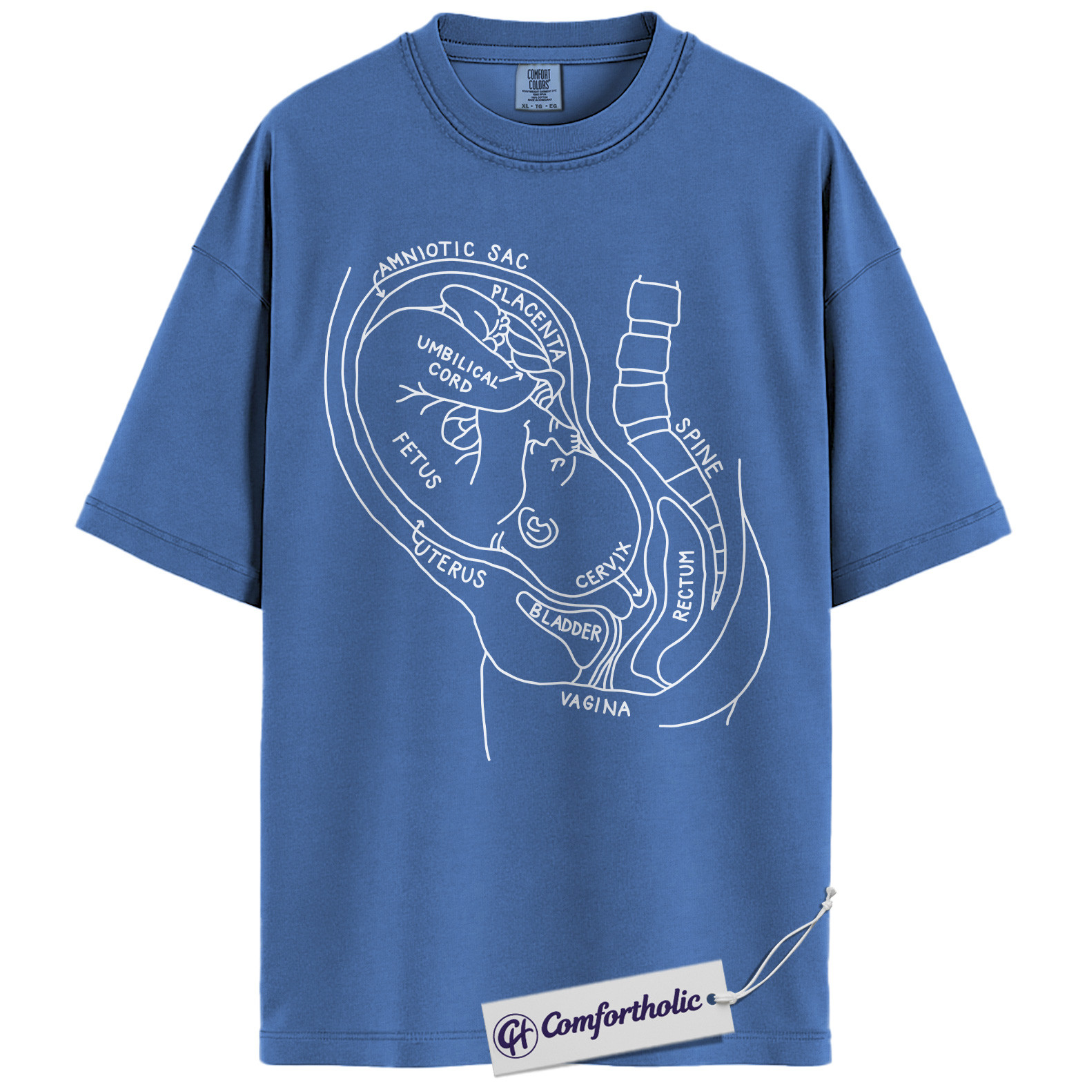 Pregnancy Anatomy Shirt, OB Nurse T-Shirt, Labor and Delivery Diagram Graphic Tee, Educational Medical Worker Gift, Comfort Colors Shirt - Image 12