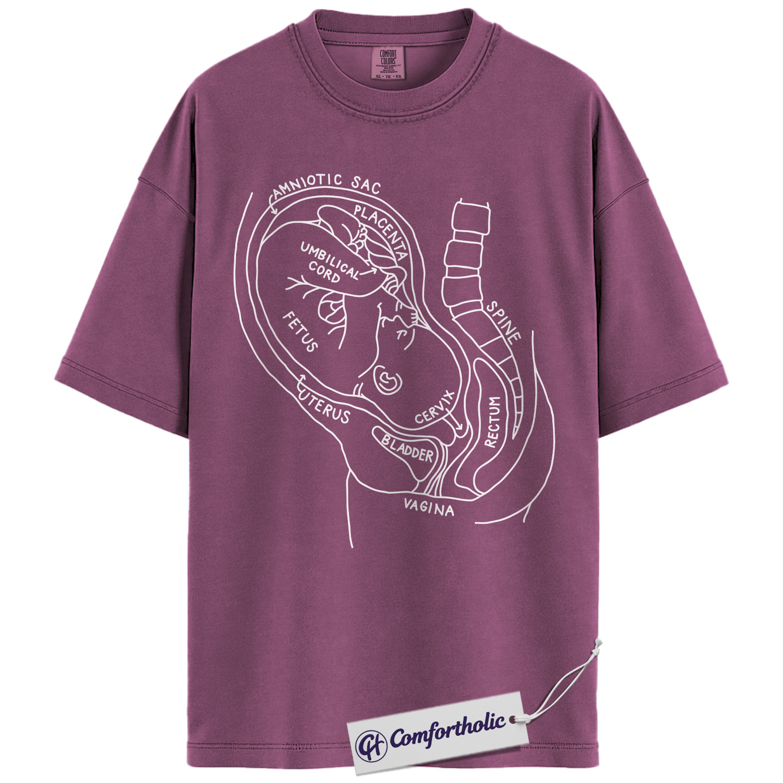 Pregnancy Anatomy Shirt, OB Nurse T-Shirt, Labor and Delivery Diagram Graphic Tee, Educational Medical Worker Gift, Comfort Colors Shirt - Image 15