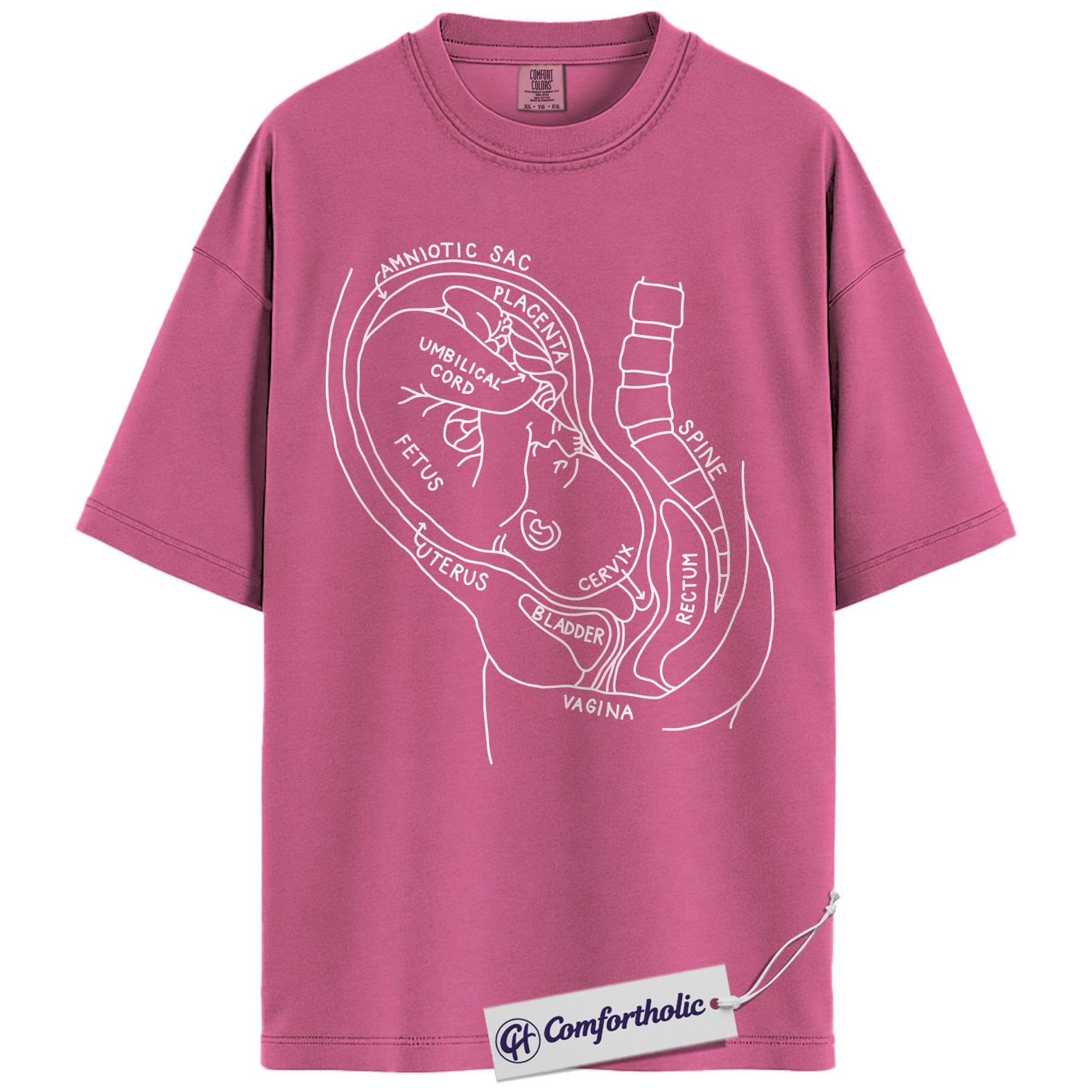 Pregnancy Anatomy Shirt, OB Nurse T-Shirt, Labor and Delivery Diagram Graphic Tee, Educational Medical Worker Gift, Comfort Colors Shirt - Image 16