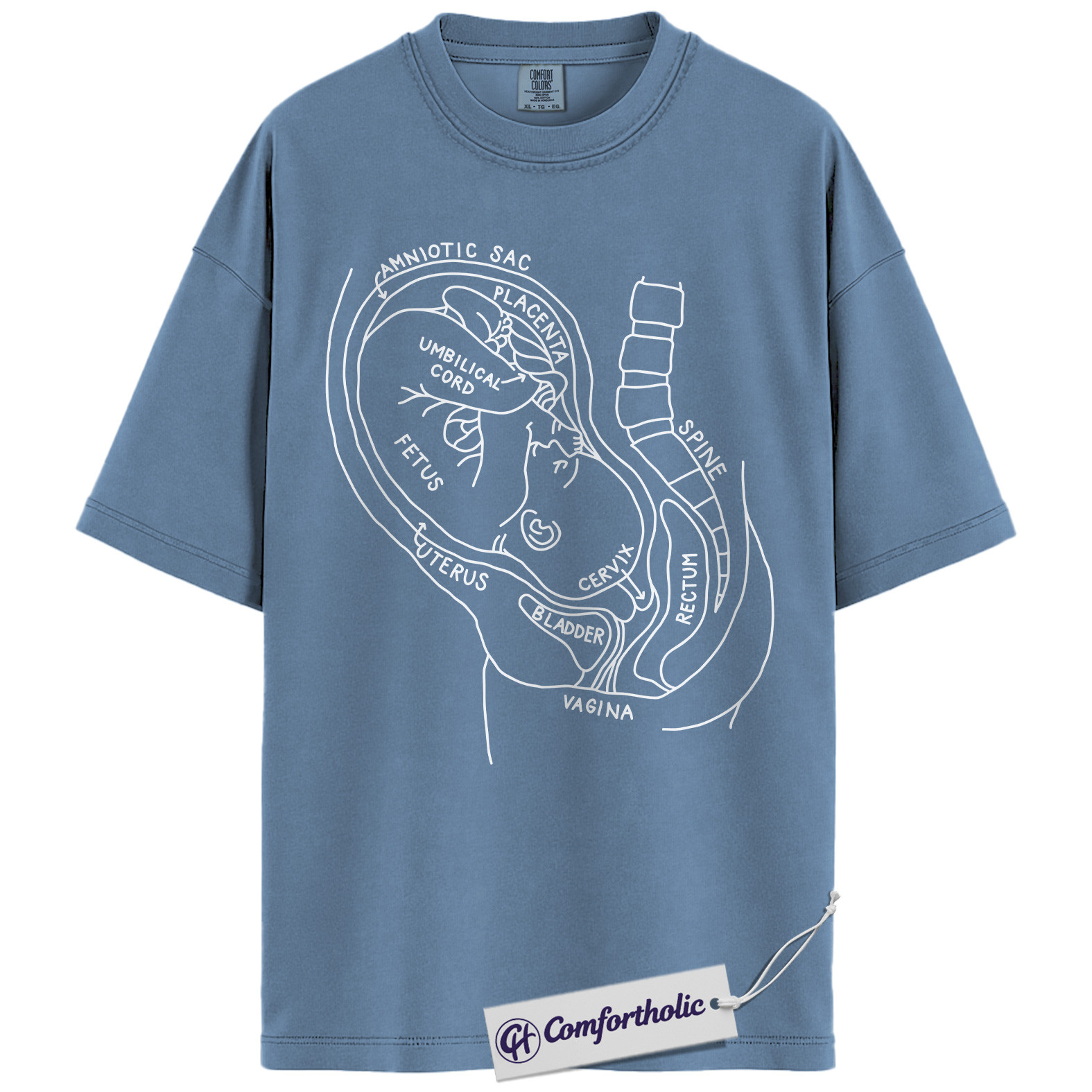 Pregnancy Anatomy Shirt, OB Nurse T-Shirt, Labor and Delivery Diagram Graphic Tee, Educational Medical Worker Gift, Comfort Colors Shirt - Image 17