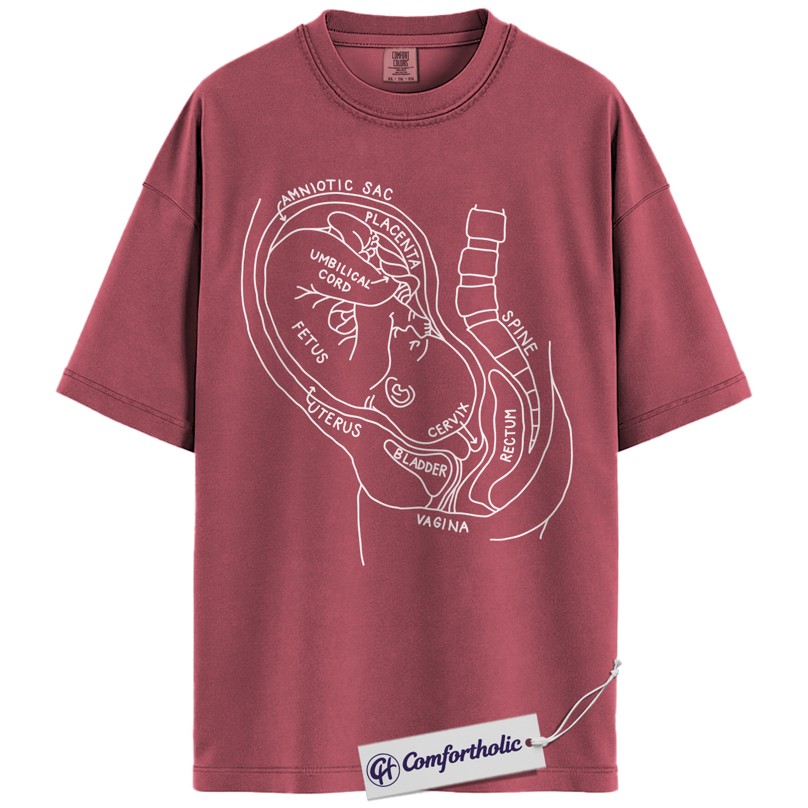 Pregnancy Anatomy Shirt, OB Nurse T-Shirt, Labor and Delivery Diagram Graphic Tee, Educational Medical Worker Gift, Comfort Colors Shirt - Image 18