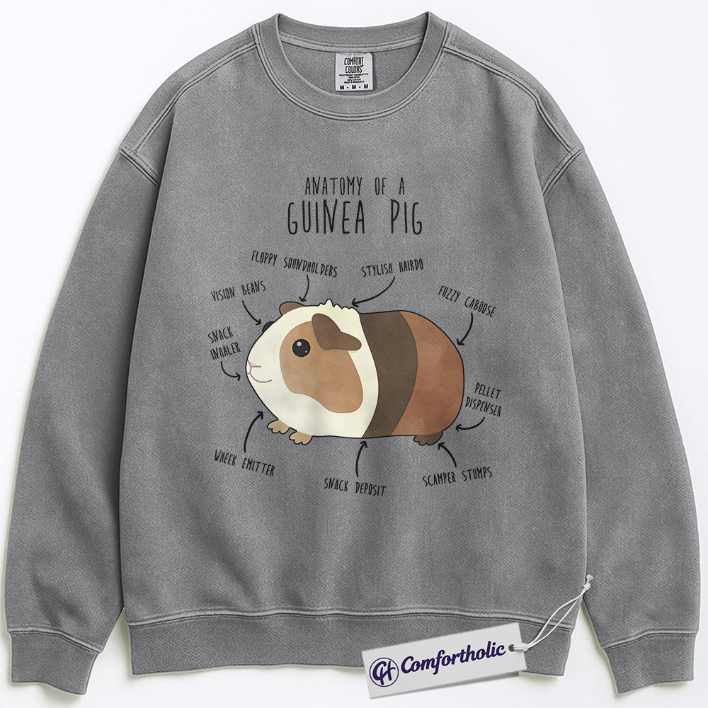 Anatomy of a Guinea Pig Sweatshirt, Funny Guinea Pig Lover Pullover, Cute Pet Rodent Graphic Crewneck, Animal Humor Gift for Pet Owners, Comfort Colors Sweatshirt