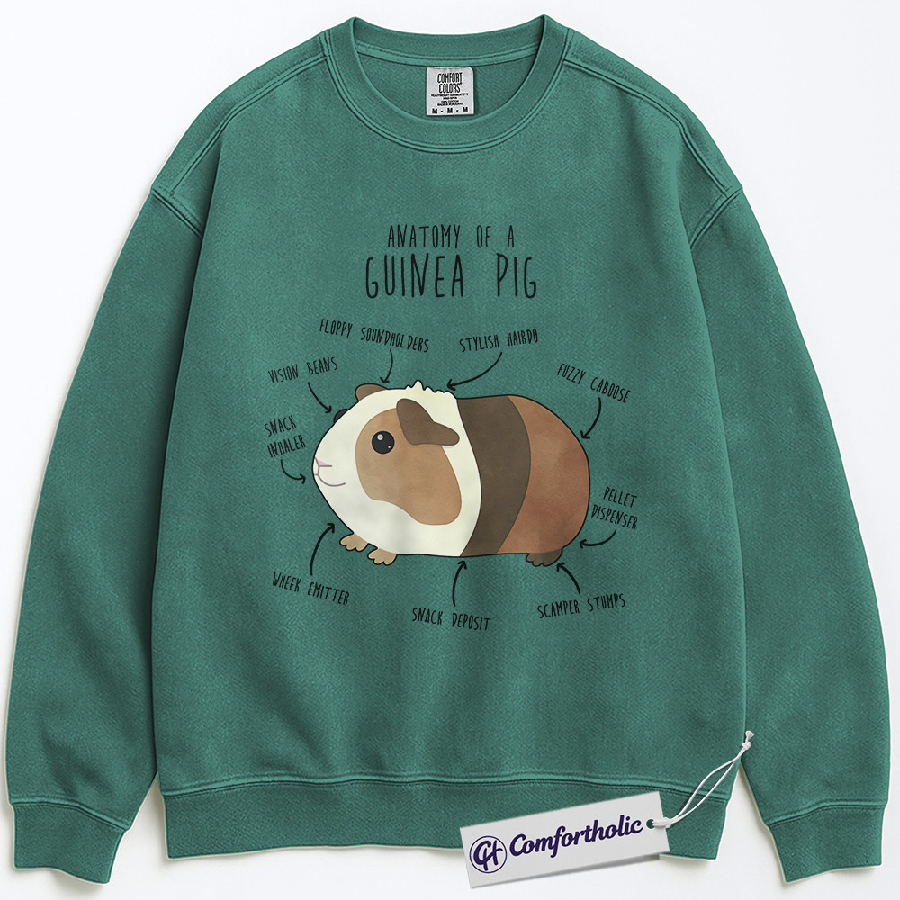 Anatomy of a Guinea Pig Sweatshirt, Funny Guinea Pig Lover Pullover, Cute Pet Rodent Graphic Crewneck, Animal Humor Gift for Pet Owners, Comfort Colors Sweatshirt - Image 6