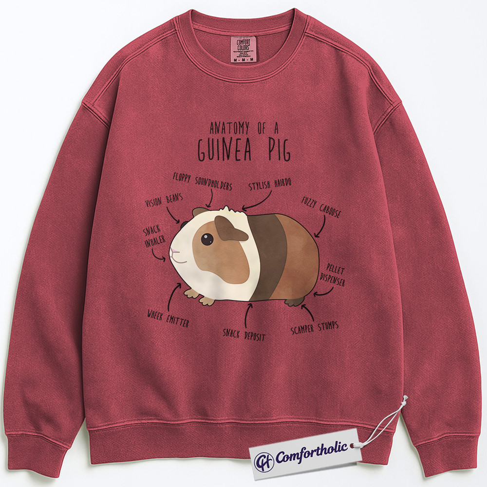 Anatomy of a Guinea Pig Sweatshirt, Funny Guinea Pig Lover Pullover, Cute Pet Rodent Graphic Crewneck, Animal Humor Gift for Pet Owners, Comfort Colors Sweatshirt - Image 9