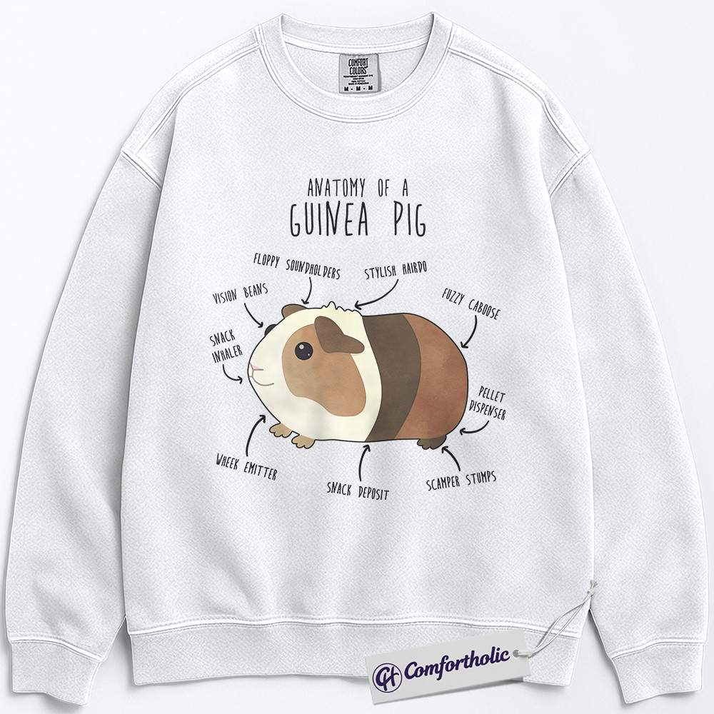 Anatomy of a Guinea Pig Sweatshirt, Funny Guinea Pig Lover Pullover, Cute Pet Rodent Graphic Crewneck, Animal Humor Gift for Pet Owners, Comfort Colors Sweatshirt - Image 2