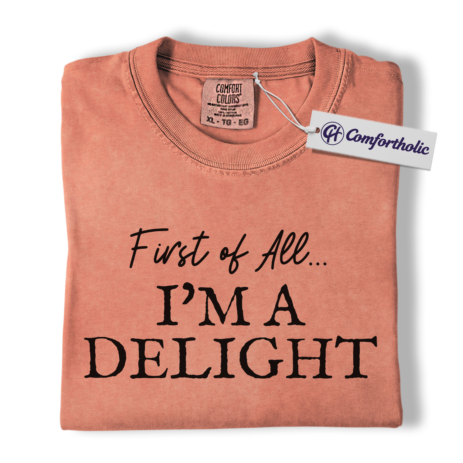 First of All I'm a Delight Shirt, Funny Quote T-Shirt, Sarcastic Sassy Saying Tee, Humorous Gift for Women, Comfort Colors Shirt - Image 7