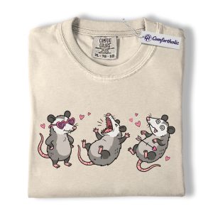 Funny Opossum Shirt, Cute Valentine Animal Lover Graphic Tee, Chaotic Possum Cartoon T-Shirt, Whimsical Heart Gift for for Women, Comfort Colors Shirt
