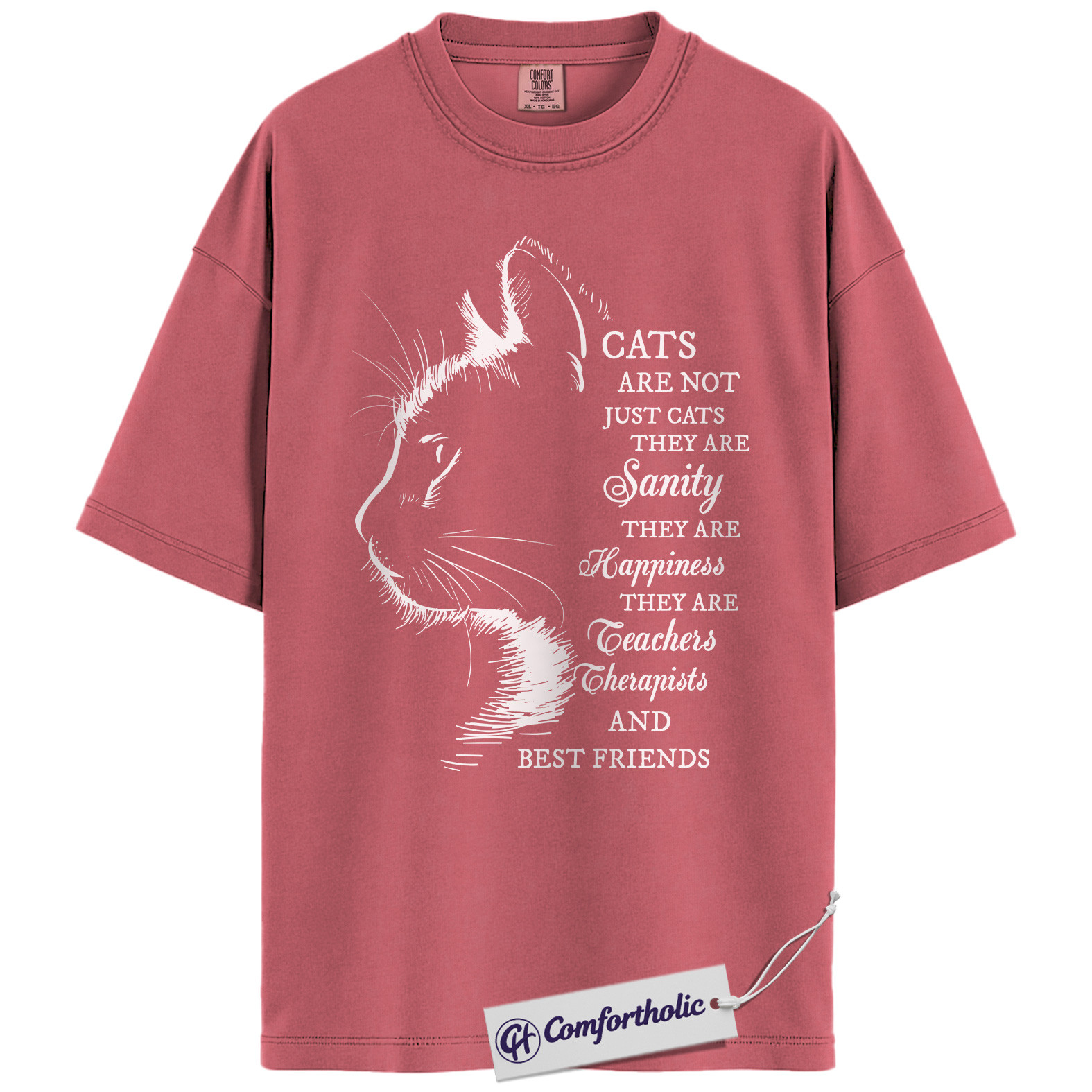 Cats Are Not Just Cats Shirt, Emotional Cat Lover Graphic T-Shirt, Hand Drawn Aesthetic Pet Lover Tee, Gift for Cat Moms, Comfort Colors Shirt - Image 9