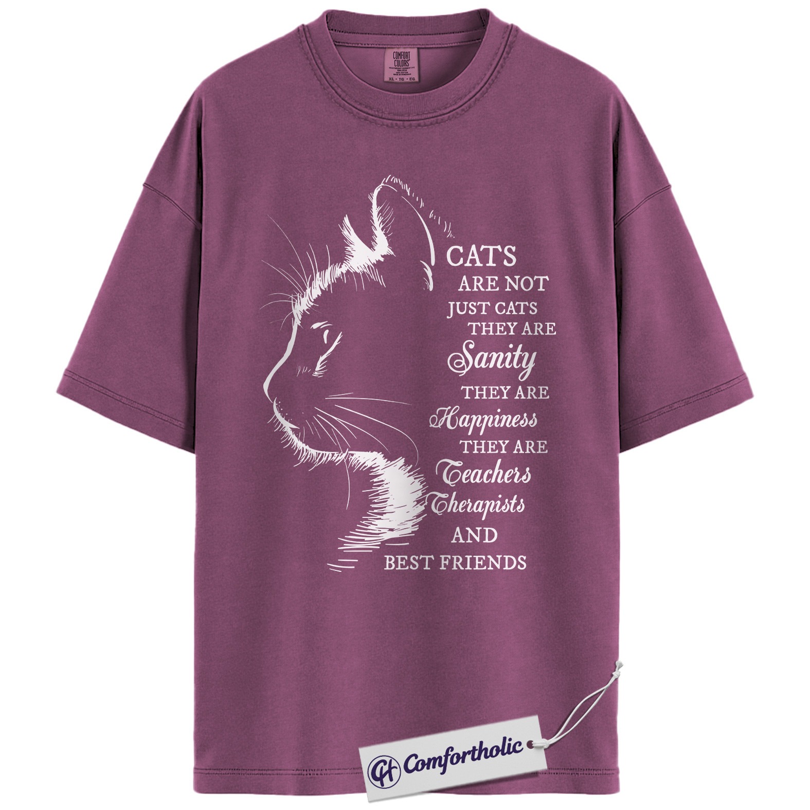 Cats Are Not Just Cats Shirt, Emotional Cat Lover Graphic T-Shirt, Hand Drawn Aesthetic Pet Lover Tee, Gift for Cat Moms, Comfort Colors Shirt - Image 15