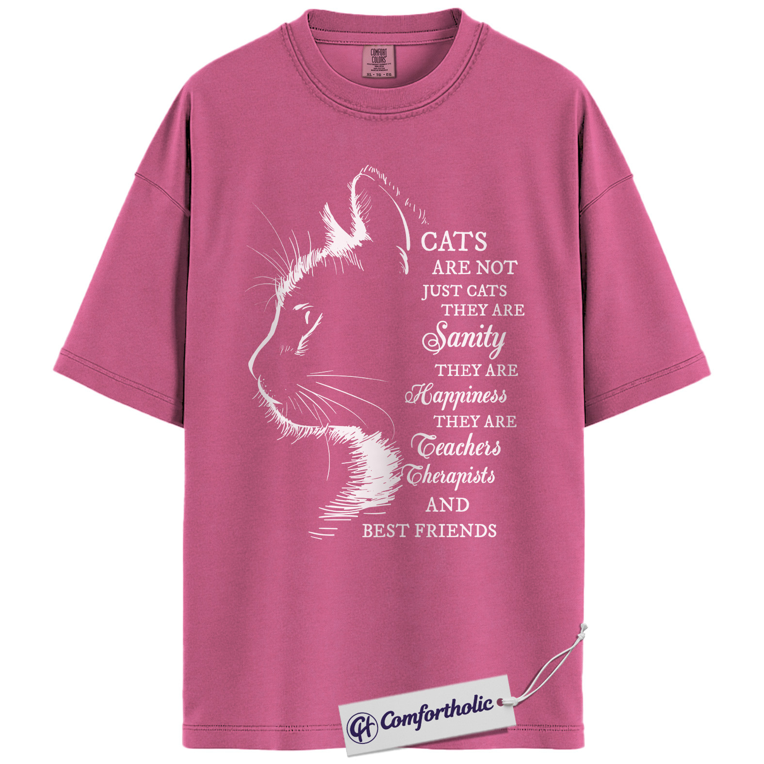 Cats Are Not Just Cats Shirt, Emotional Cat Lover Graphic T-Shirt, Hand Drawn Aesthetic Pet Lover Tee, Gift for Cat Moms, Comfort Colors Shirt - Image 16