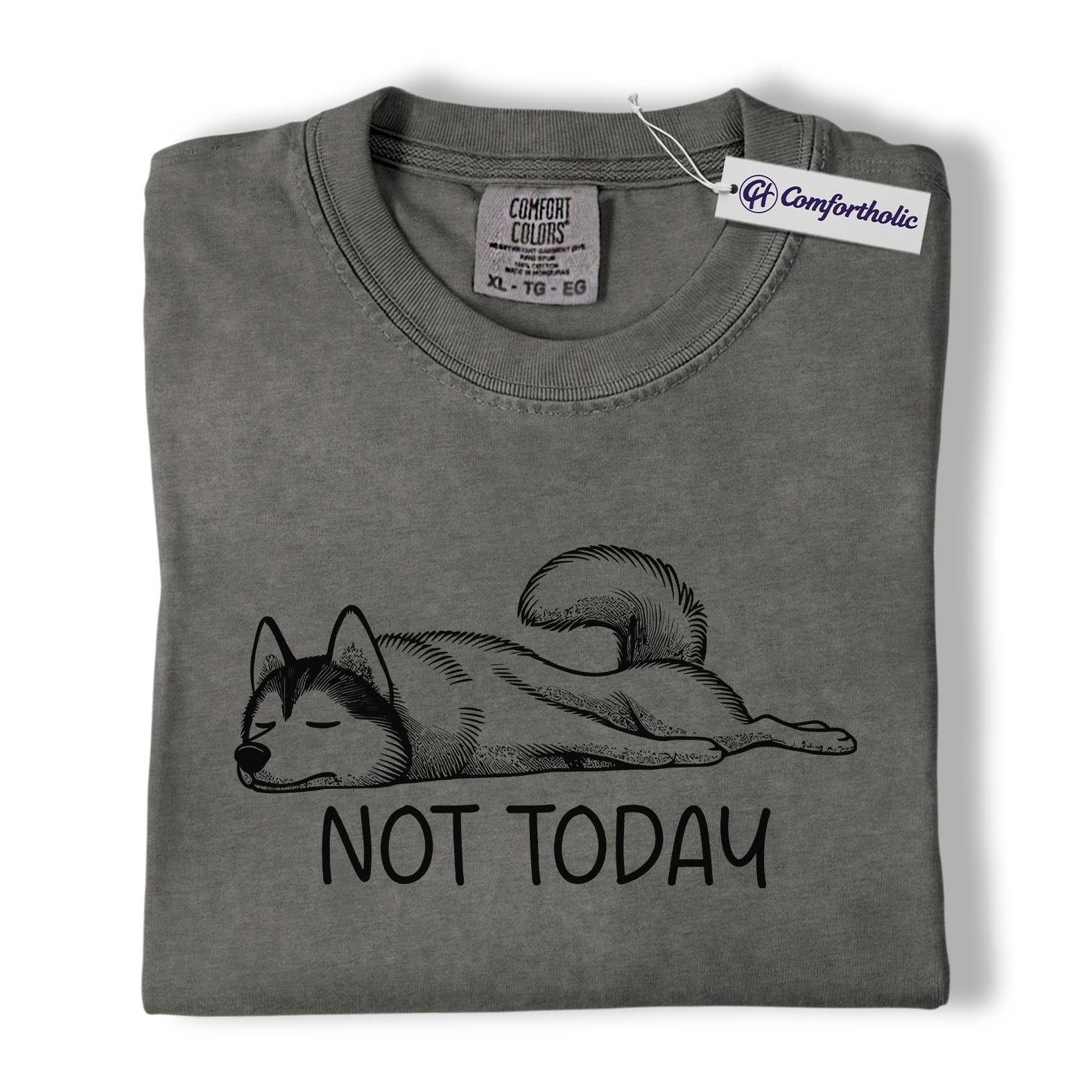Not Today Husky Shirt, Funny Lazy Dog Lover Graphic Tee, Cute Sleeping Husky T-Shirt, Pet Owner Gift for Dog Moms & Animal Lovers, Comfort Colors Shirt - Image 4