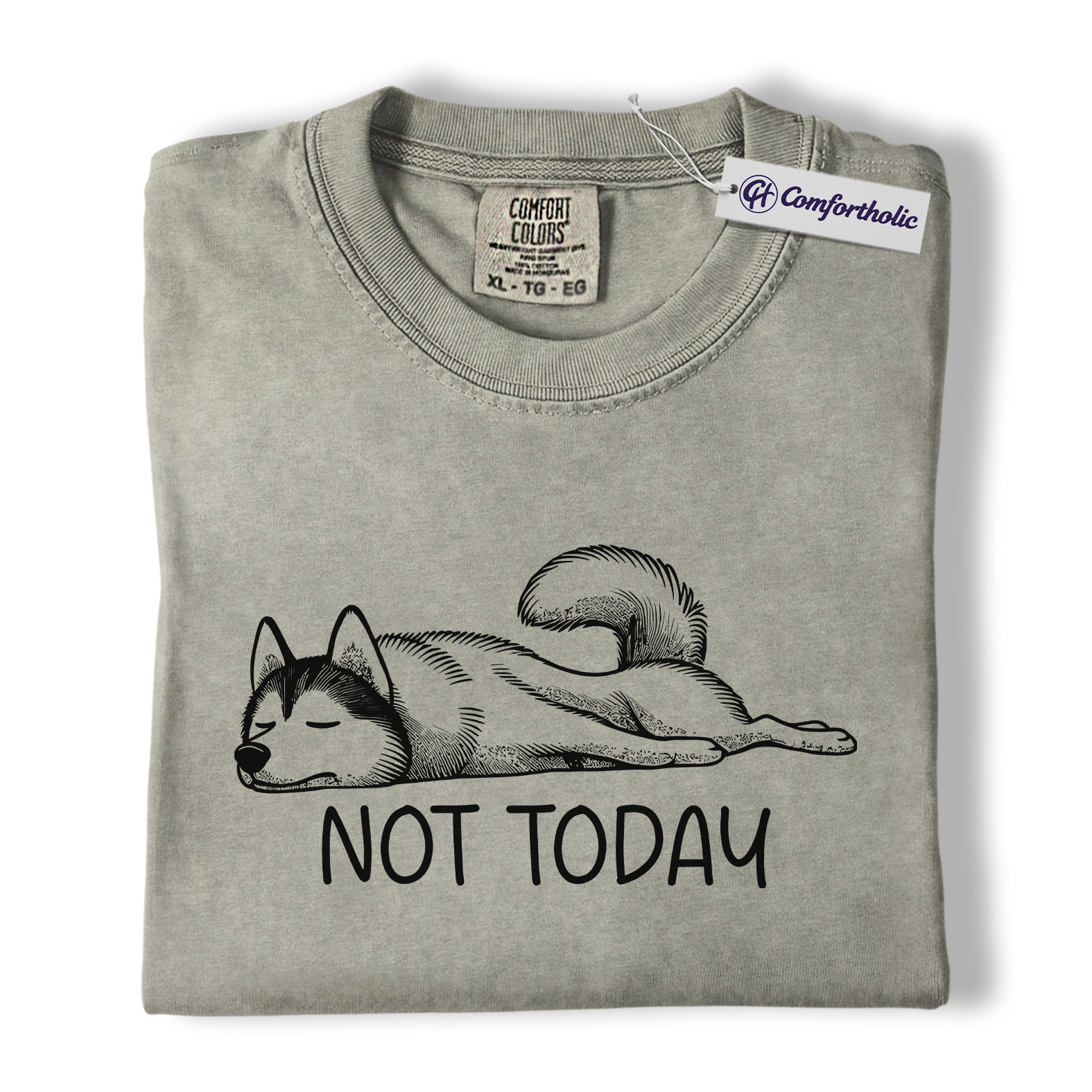 Not Today Husky Shirt, Funny Lazy Dog Lover Graphic Tee, Cute Sleeping Husky T-Shirt, Pet Owner Gift for Dog Moms & Animal Lovers, Comfort Colors Shirt