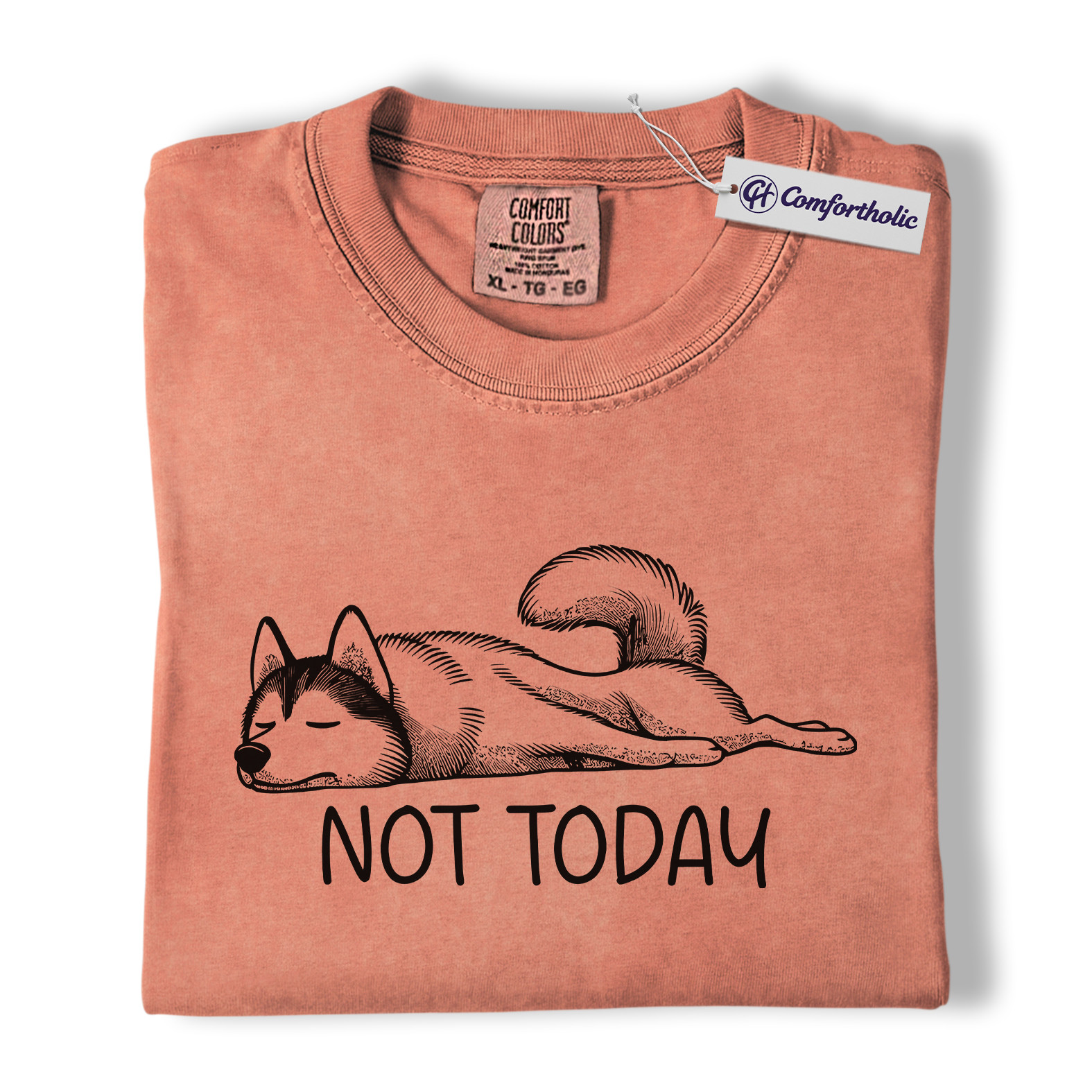 Not Today Husky Shirt, Funny Lazy Dog Lover Graphic Tee, Cute Sleeping Husky T-Shirt, Pet Owner Gift for Dog Moms & Animal Lovers, Comfort Colors Shirt - Image 7