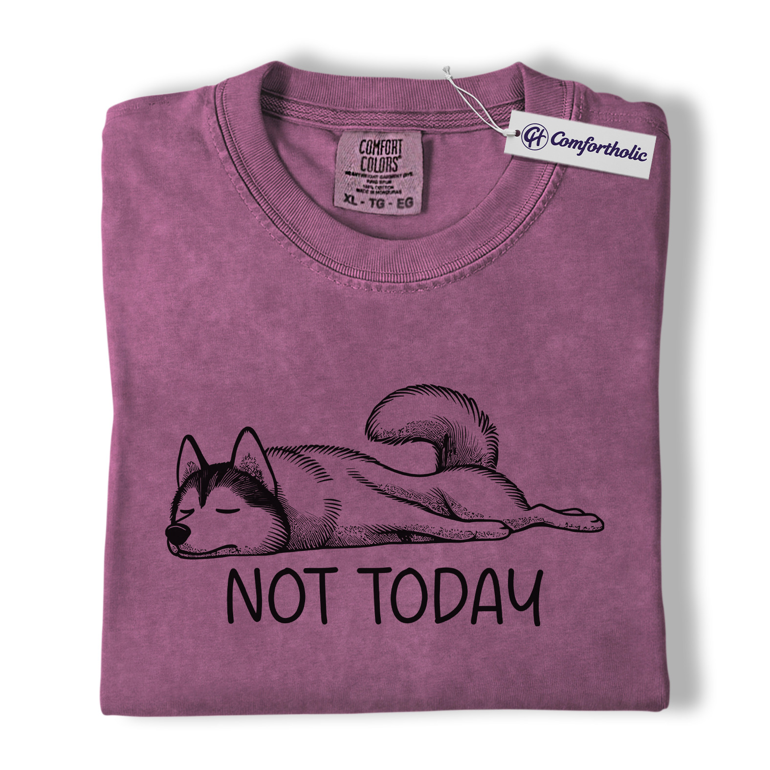Not Today Husky Shirt, Funny Lazy Dog Lover Graphic Tee, Cute Sleeping Husky T-Shirt, Pet Owner Gift for Dog Moms & Animal Lovers, Comfort Colors Shirt - Image 15