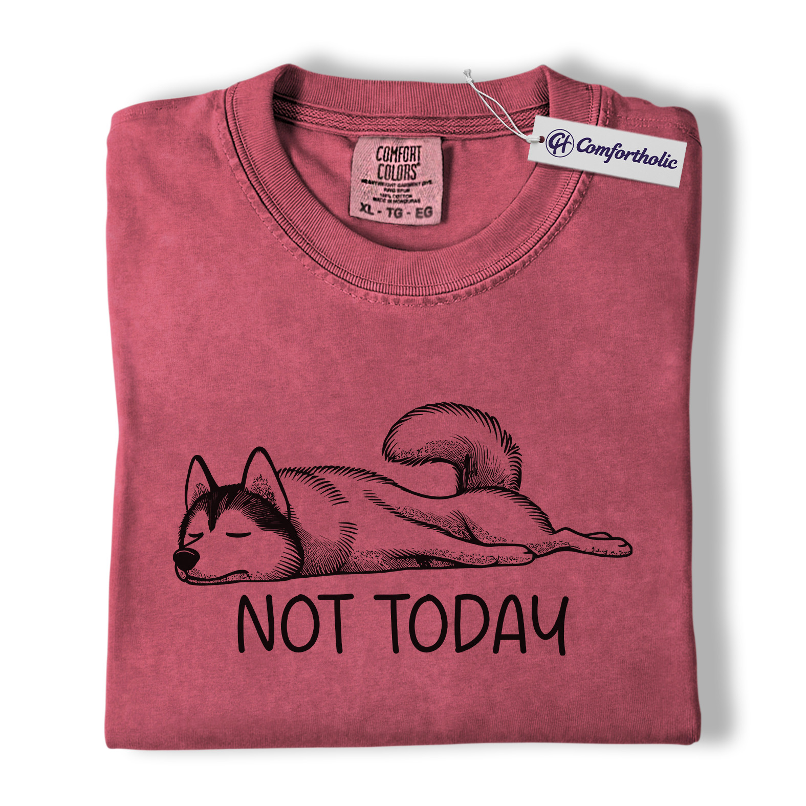 Not Today Husky Shirt, Funny Lazy Dog Lover Graphic Tee, Cute Sleeping Husky T-Shirt, Pet Owner Gift for Dog Moms & Animal Lovers, Comfort Colors Shirt - Image 18