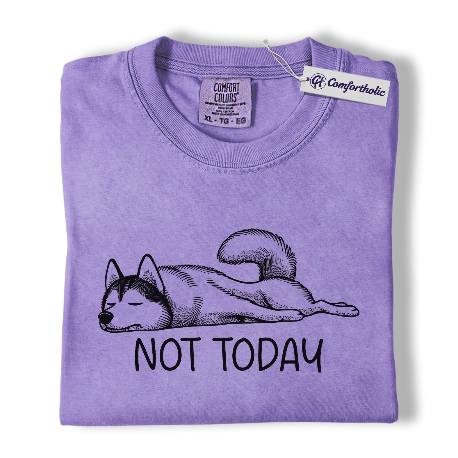 Not Today Husky Shirt, Funny Lazy Dog Lover Graphic Tee, Cute Sleeping Husky T-Shirt, Pet Owner Gift for Dog Moms & Animal Lovers, Comfort Colors Shirt - Image 20