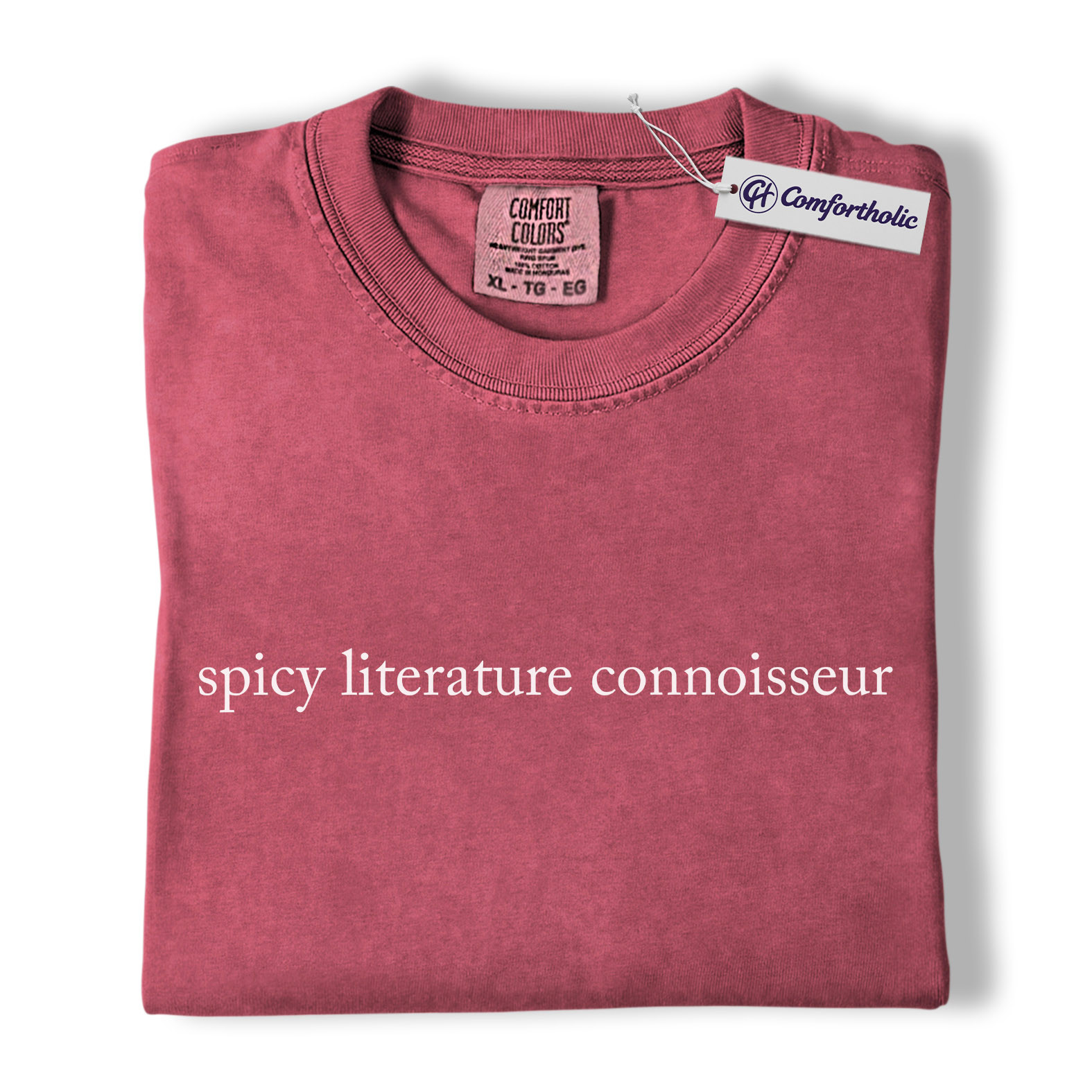 Spicy Literature Connoisseur Shirt, Minimalist Bookish Quote Graphic Tee, Smut Reader Romance Novel T-Shirt, Gift for Book Lovers & Readers, Comfort Colors Shirt - Image 18