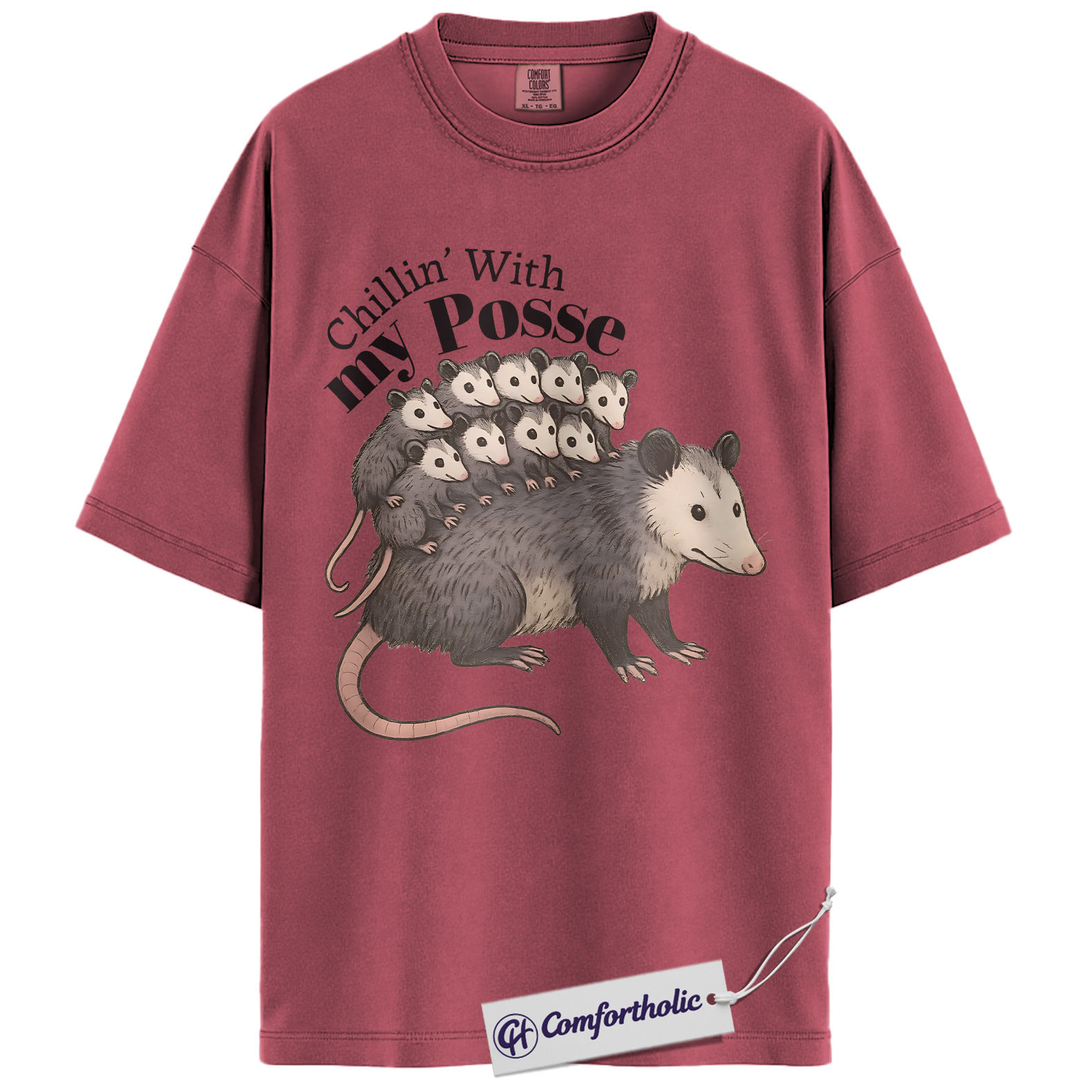 Possum Mom Shirt, Cute Animal Graphic Tee, Chillin With My Posse T-Shirt, Funny Gift for Animal Lovers, Comfort Colors Shirt - Image 18