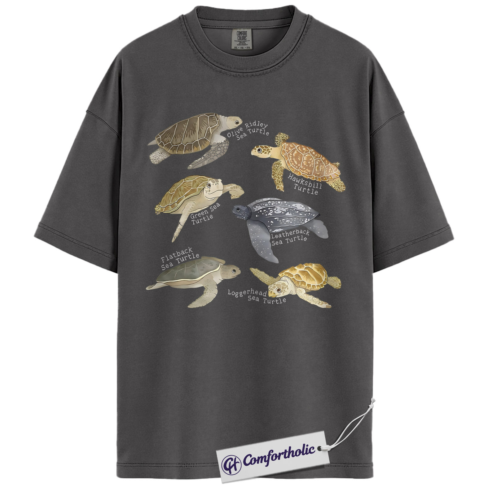 Sea Turtle Shirt, Sea Turtle Species Chart Graphic Tee, Ocean Animal Lover T-Shirt, Marine Biology Gift for Turtle Lovers, Comfort Colors Shirt - Image 4