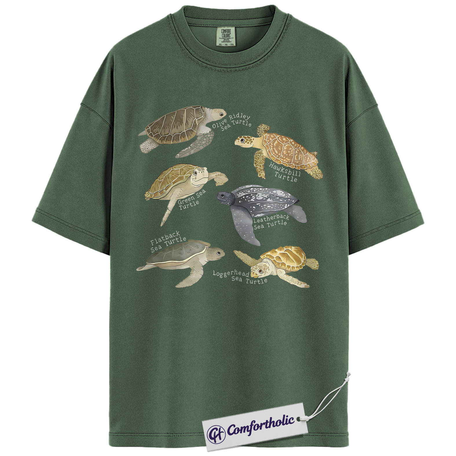 Sea Turtle Shirt, Sea Turtle Species Chart Graphic Tee, Ocean Animal Lover T-Shirt, Marine Biology Gift for Turtle Lovers, Comfort Colors Shirt - Image 5