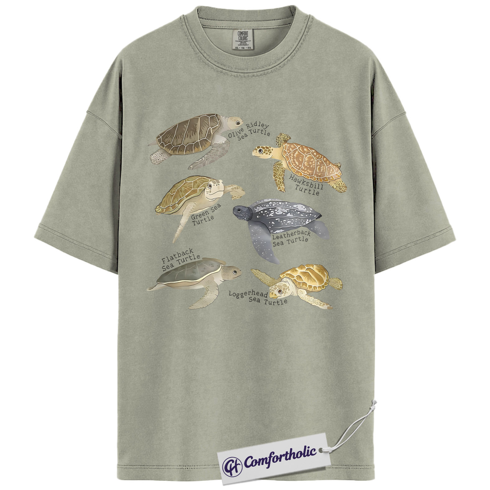 Sea Turtle Shirt, Sea Turtle Species Chart Graphic Tee, Ocean Animal Lover T-Shirt, Marine Biology Gift for Turtle Lovers, Comfort Colors Shirt - Image 6