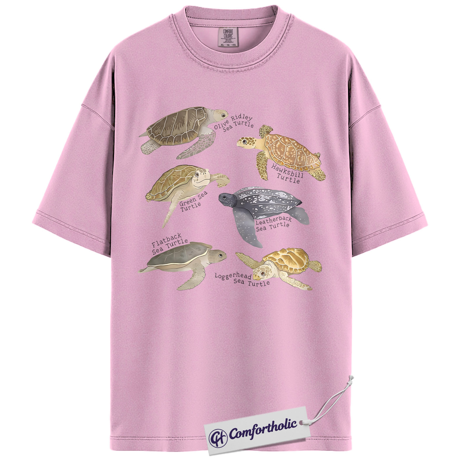Sea Turtle Shirt, Sea Turtle Species Chart Graphic Tee, Ocean Animal Lover T-Shirt, Marine Biology Gift for Turtle Lovers, Comfort Colors Shirt - Image 8