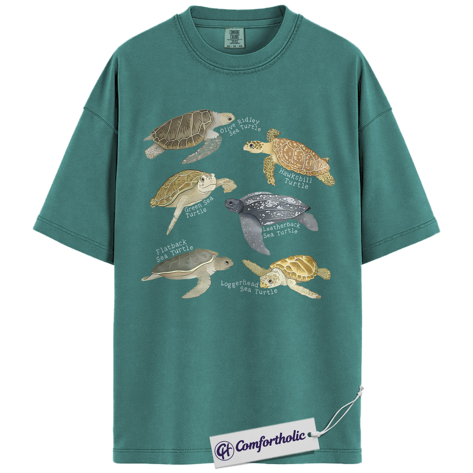 Sea Turtle Shirt, Sea Turtle Species Chart Graphic Tee, Ocean Animal Lover T-Shirt, Marine Biology Gift for Turtle Lovers, Comfort Colors Shirt - Image 13