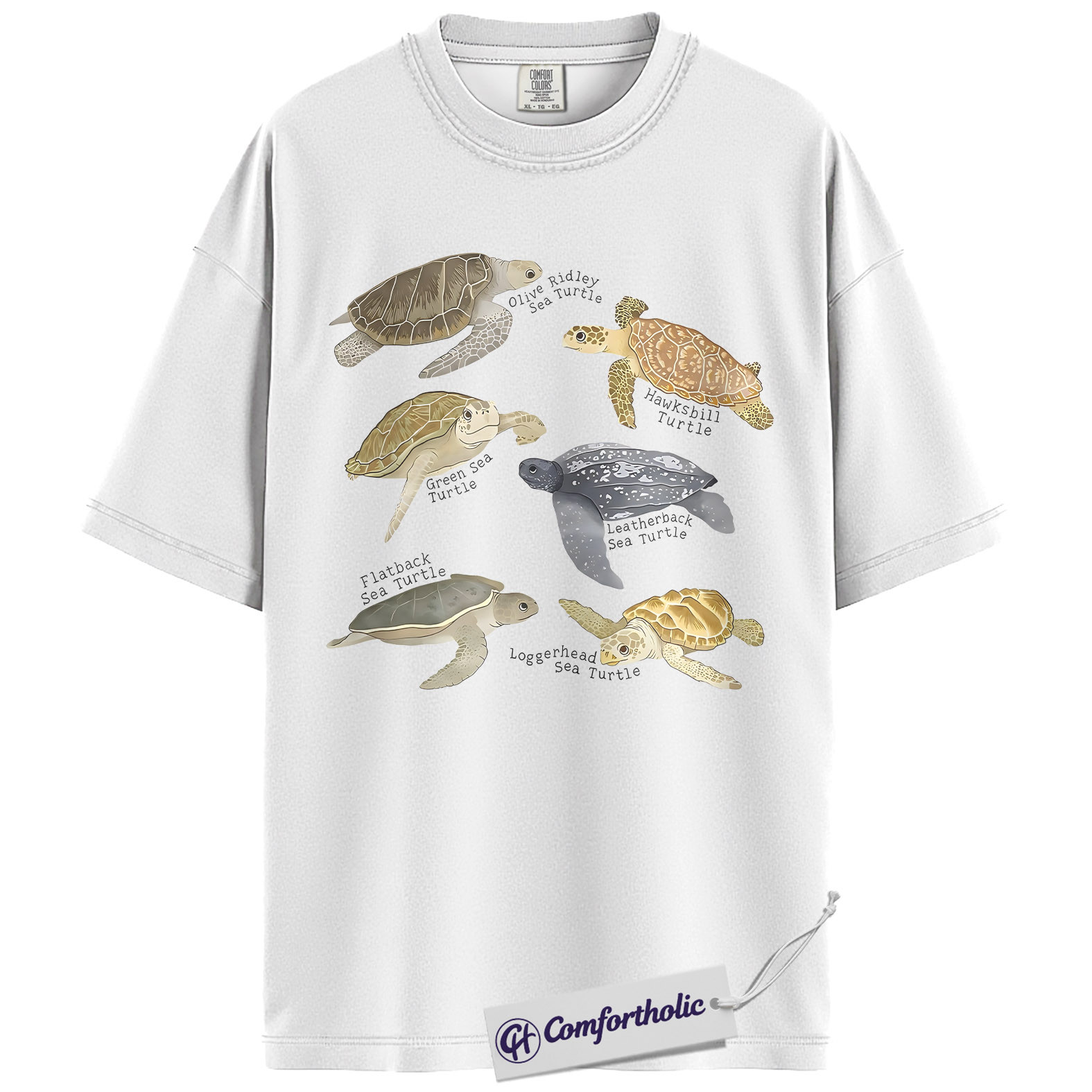 Sea Turtle Shirt, Sea Turtle Species Chart Graphic Tee, Ocean Animal Lover T-Shirt, Marine Biology Gift for Turtle Lovers, Comfort Colors Shirt - Image 2